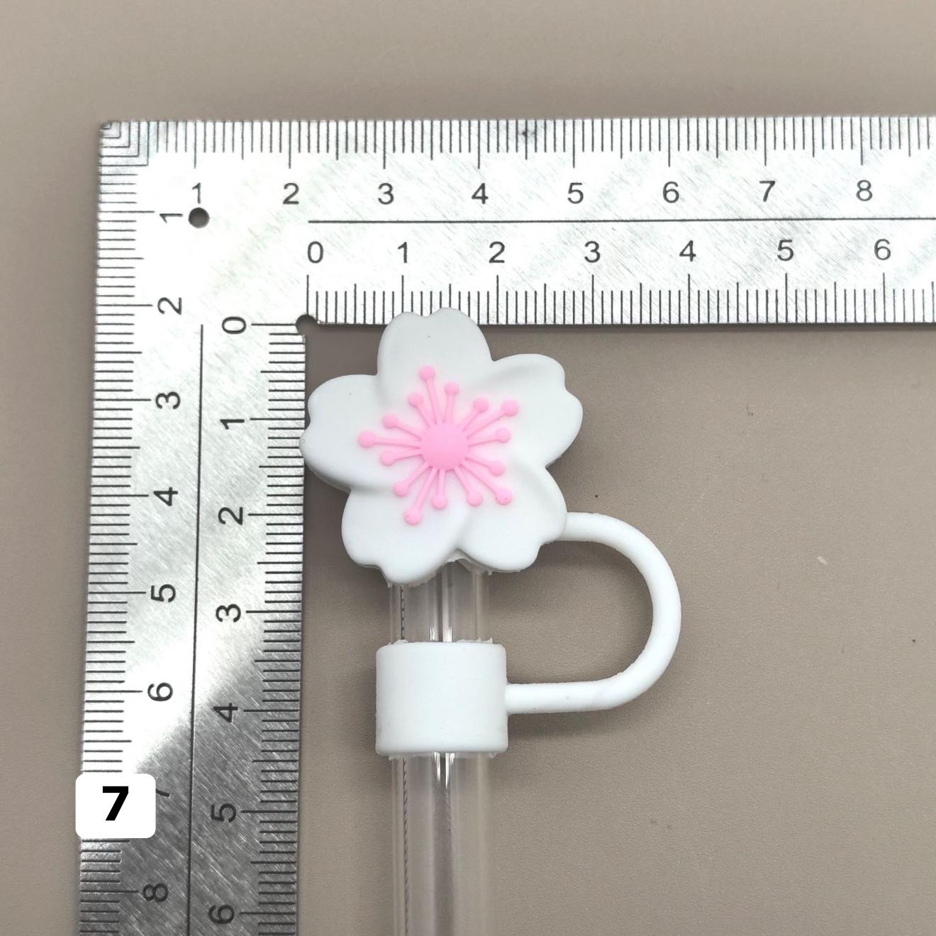 October2025 - Lids (Click on the product for more designs)