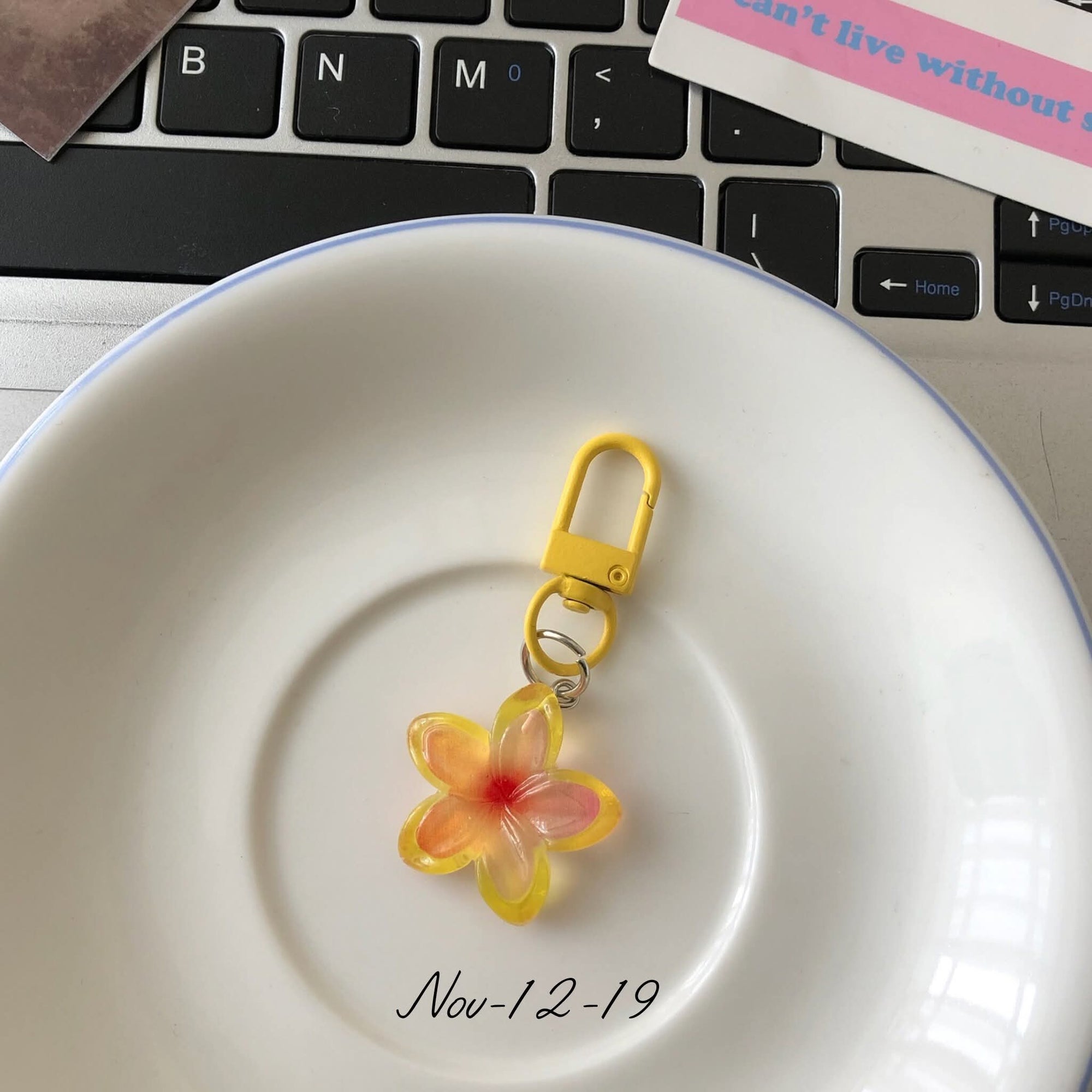 November2025 set 12 -
keychains