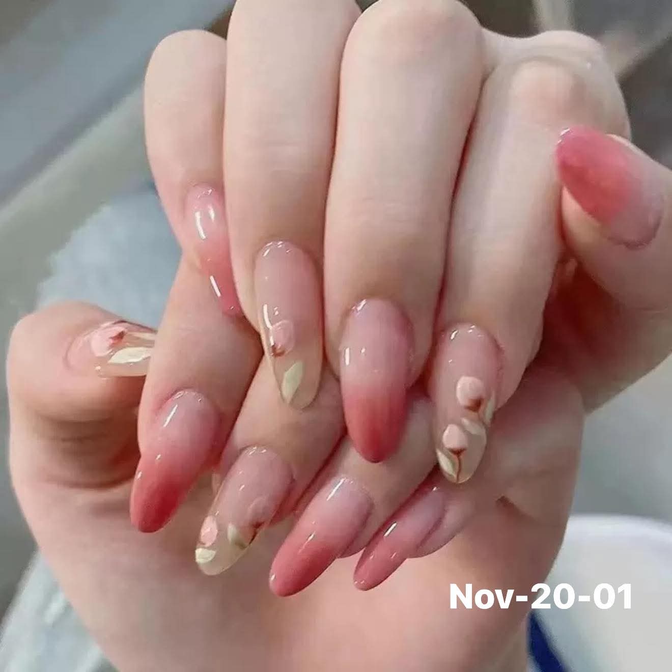 November2025 set 20 - Budget
fake nails