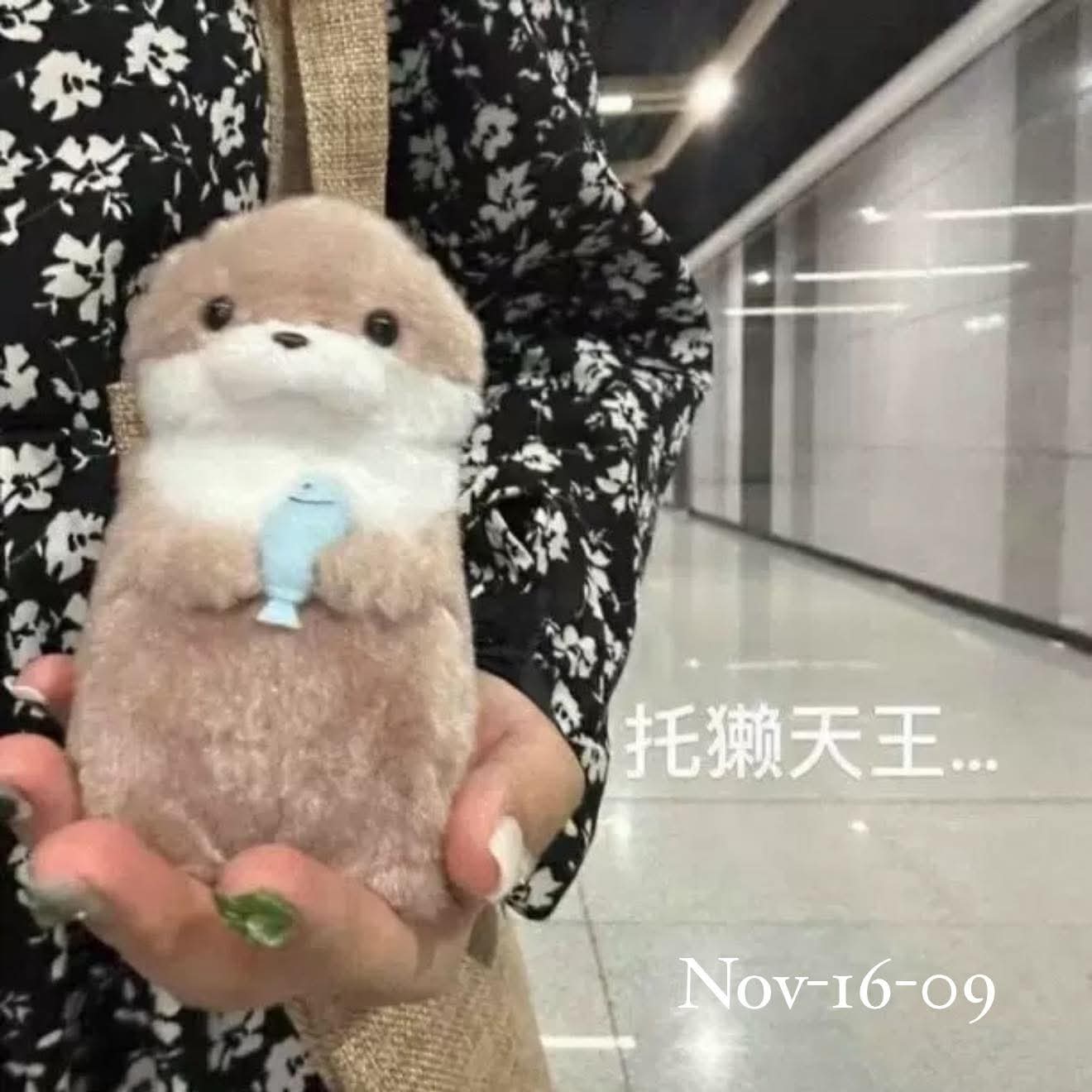 November2025 set 16 - Kawai
plushies