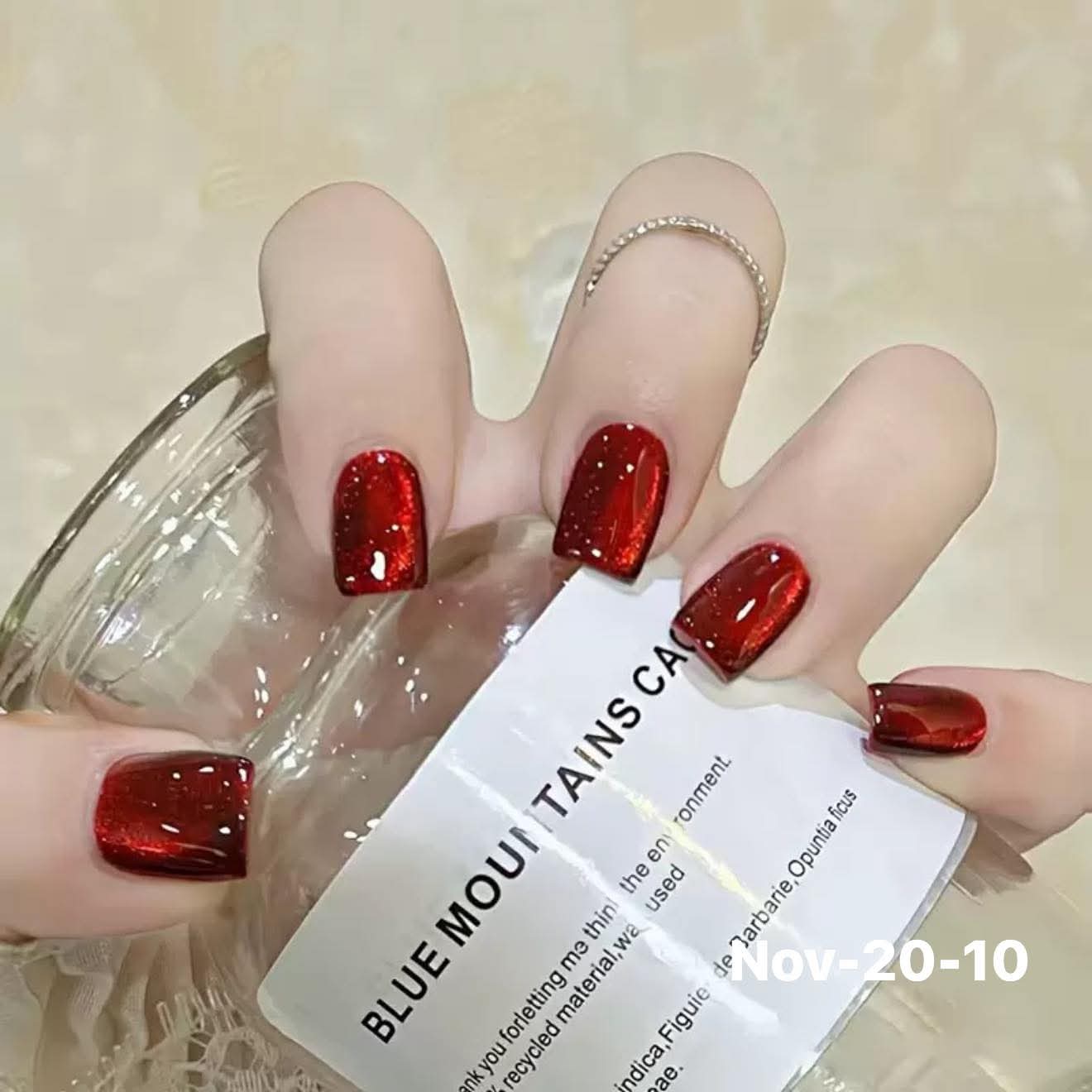 November2025 set 20 - Budget
fake nails