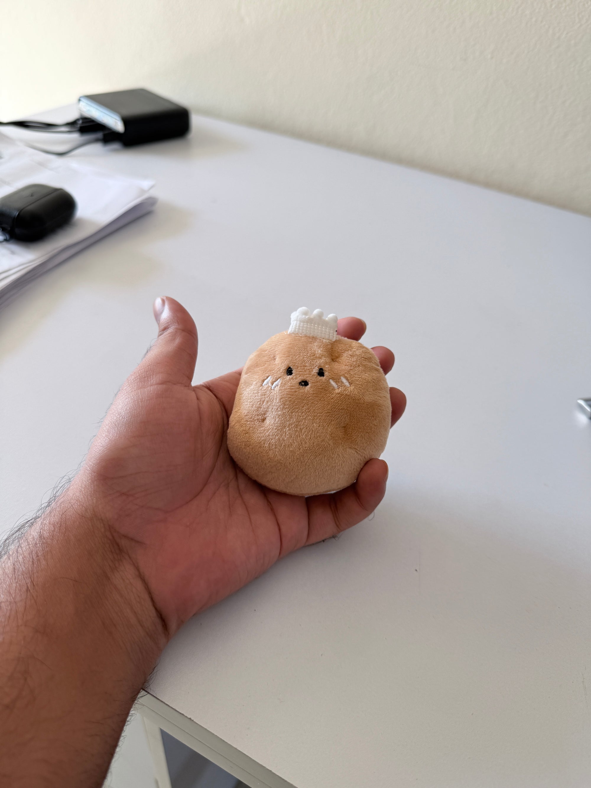 October2025 - Plushie keychain (Click on the product for more designs)